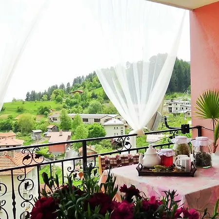 Holiday Kalina Momcilovți